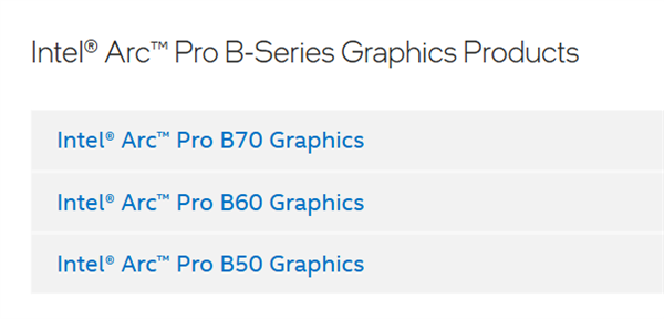 Intel锐炫Pro B70专业显卡现身官网：游戏卡彻底飞了
