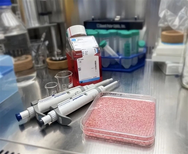 科学家首次种出带有肉味的菜：但你可能还尝不出来